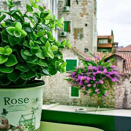 The Trip ホテル 3*