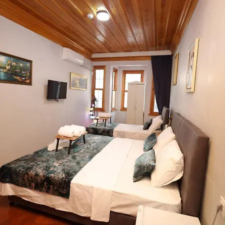 The Trip 3* Provincia di Istanbul